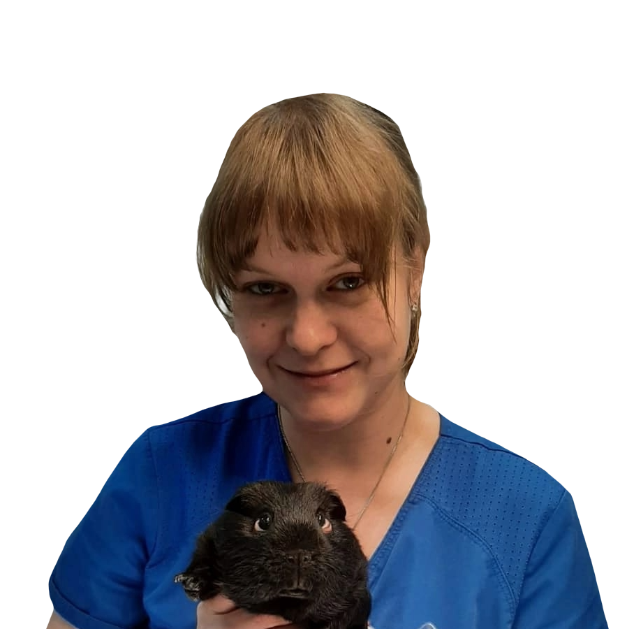 Подкорытова Анна Михайловна